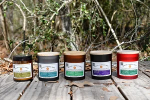 The Essence of Green Living: Curating a Conscious Home Atmosphere