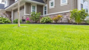 What Makes a Lawn Look Expensive? It’s Usually the Grass, Not the Landscaping