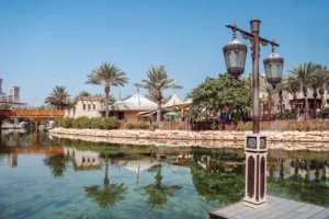 Discover the Lifestyle Benefits of Living in The Oasis Dubai 