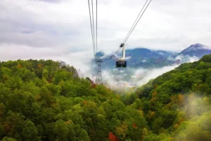 Exploring the Smoky Mountains Beyond the Usual Viewpoints